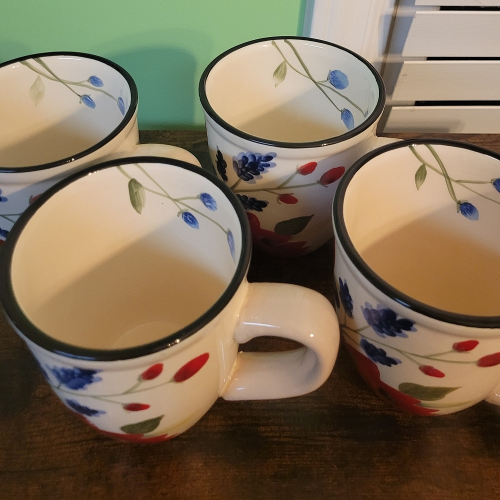 Set of 4 pfaltzgraff mugs